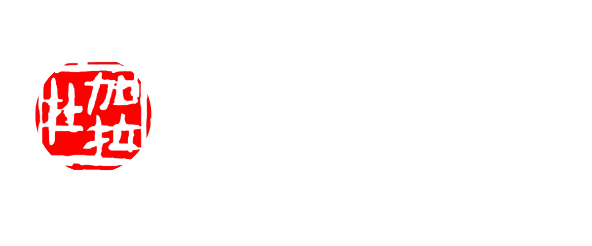 Vida Kung Fu Logo
