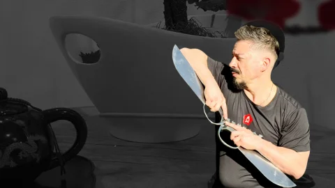 Aprenda Kung Fu