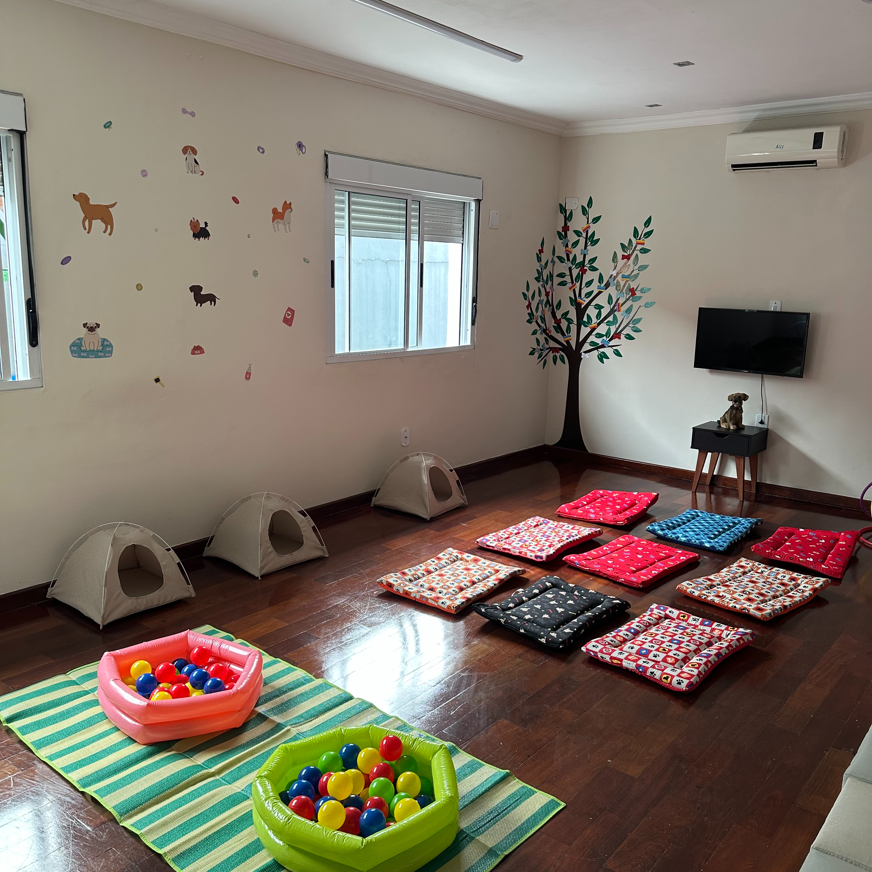 Ambiente interno preparado para o daycare pet