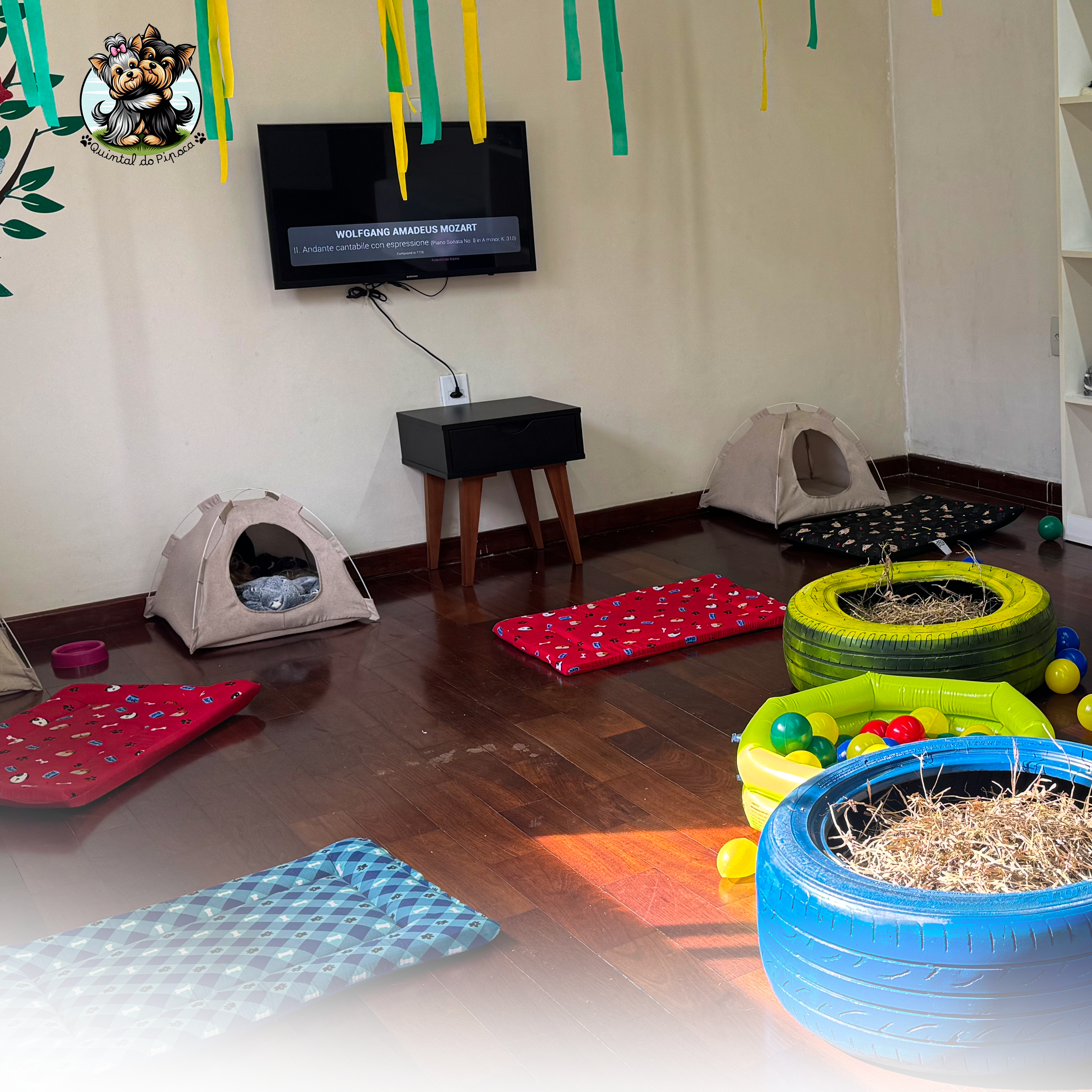 Cães descansando em ambiente enriquecido