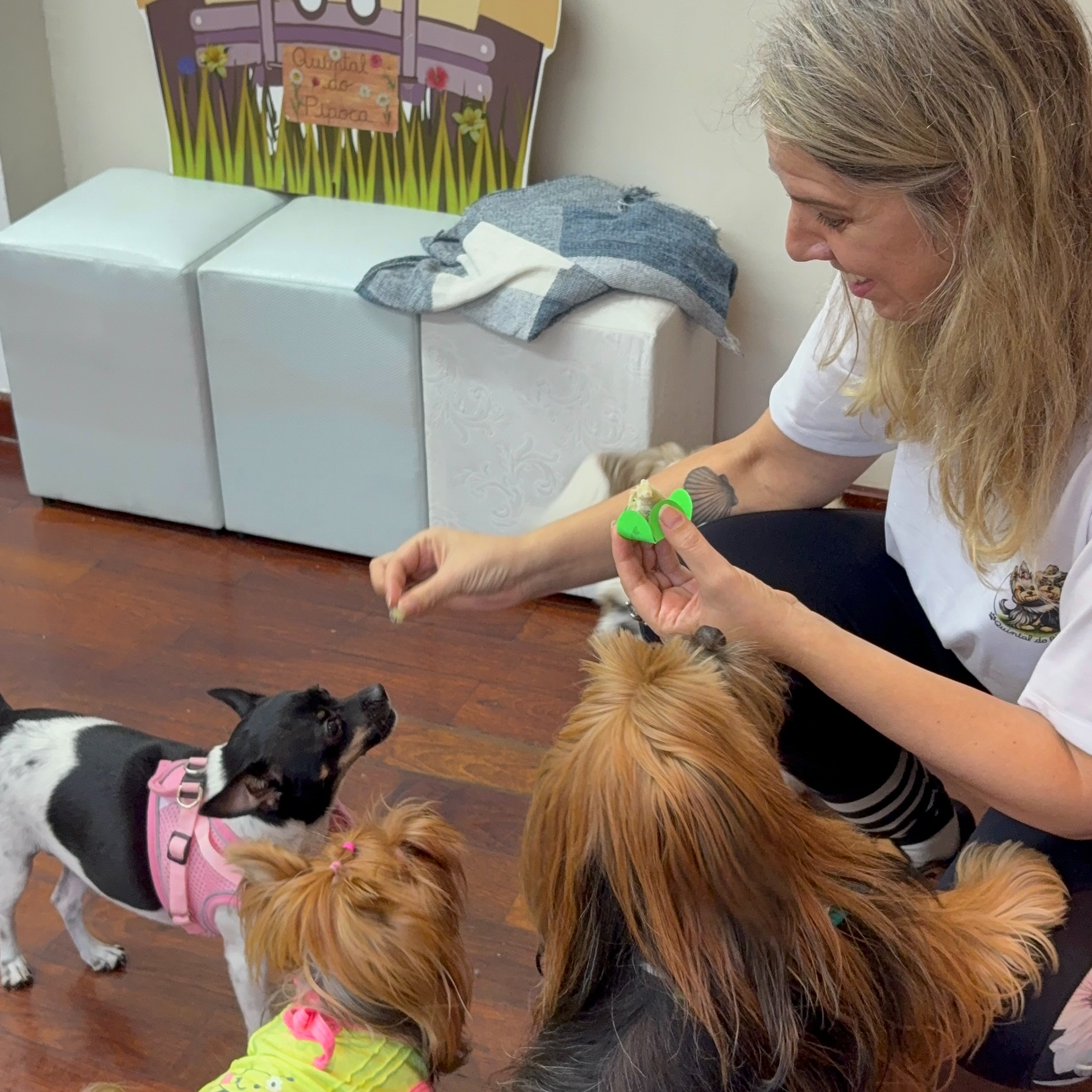 Interação positiva com cães e tutora
