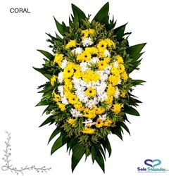 Coroa Coral