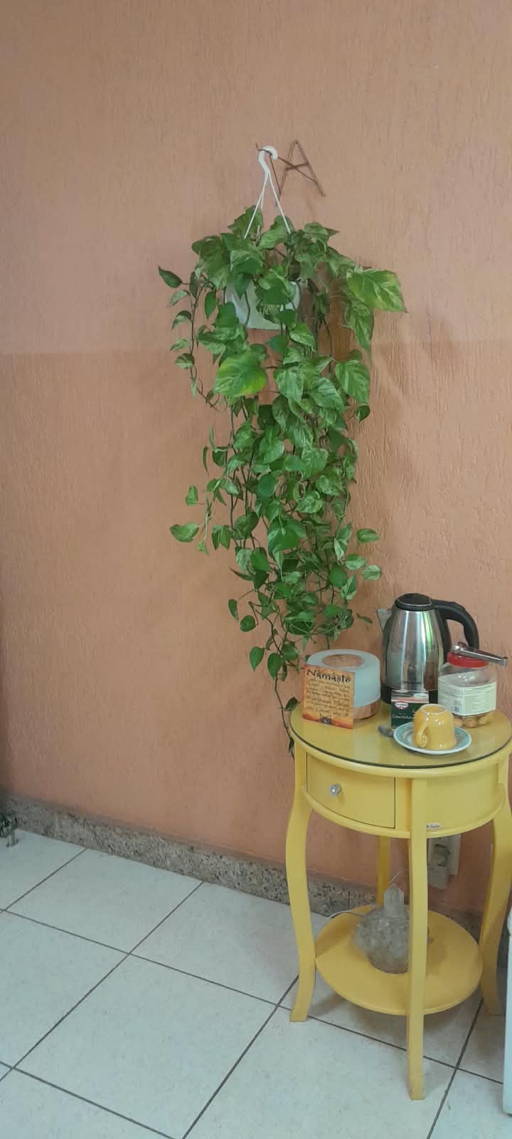 Foto do espaço com planta, mesa e itens de acolhimento