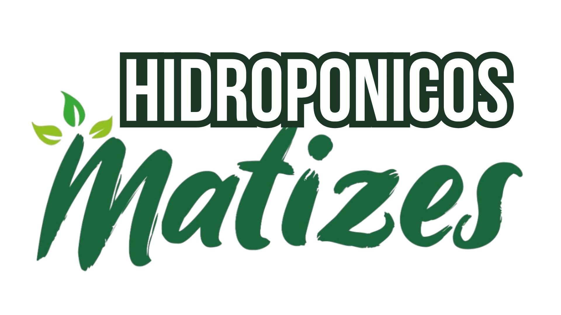 Hidropónicos Matizes