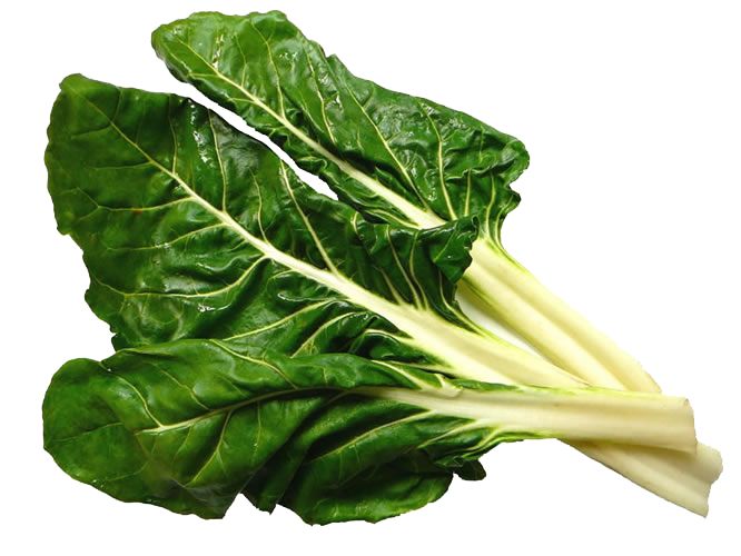 Acelga verde