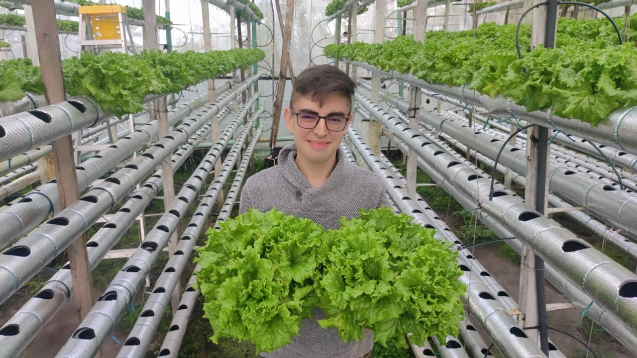 Cultivo hidropónico