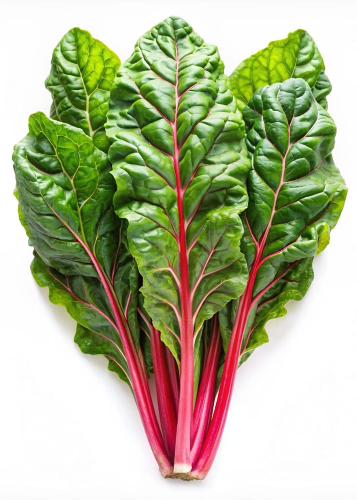 Acelga roja