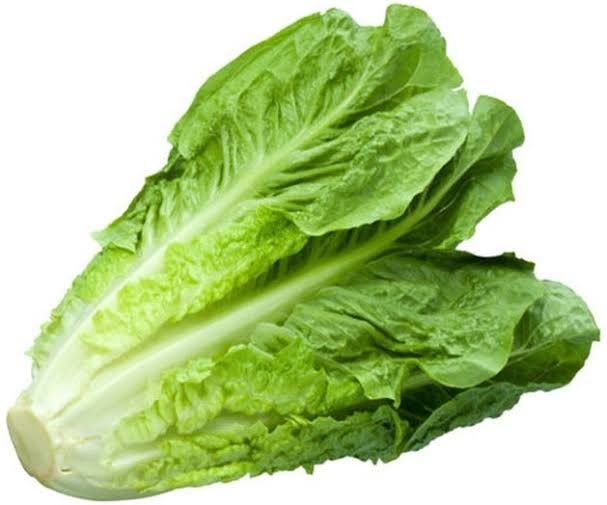 Lechuga Verde Crespa
