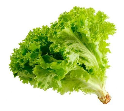 Verde Crespa