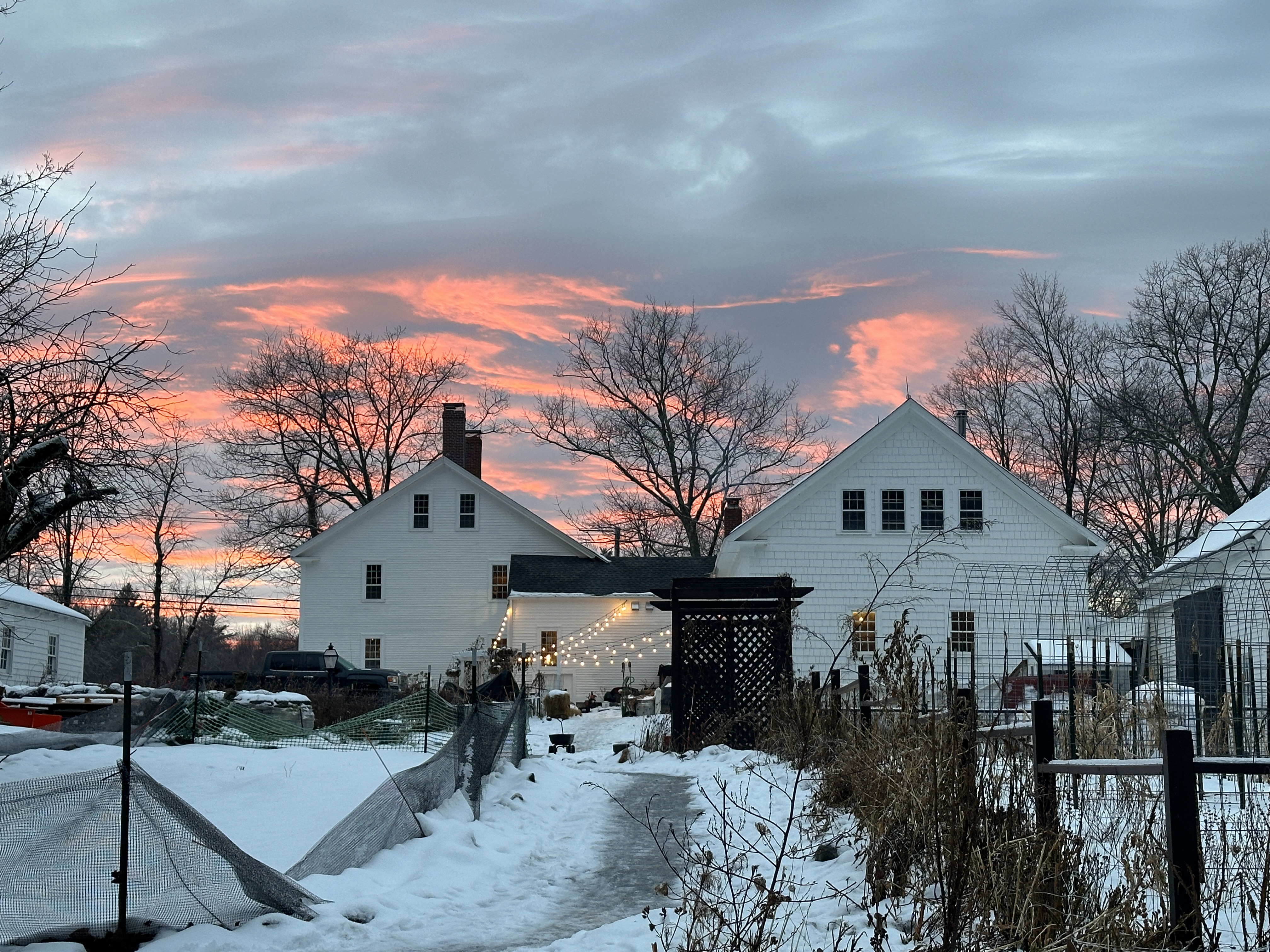 The Laurels Farm photo