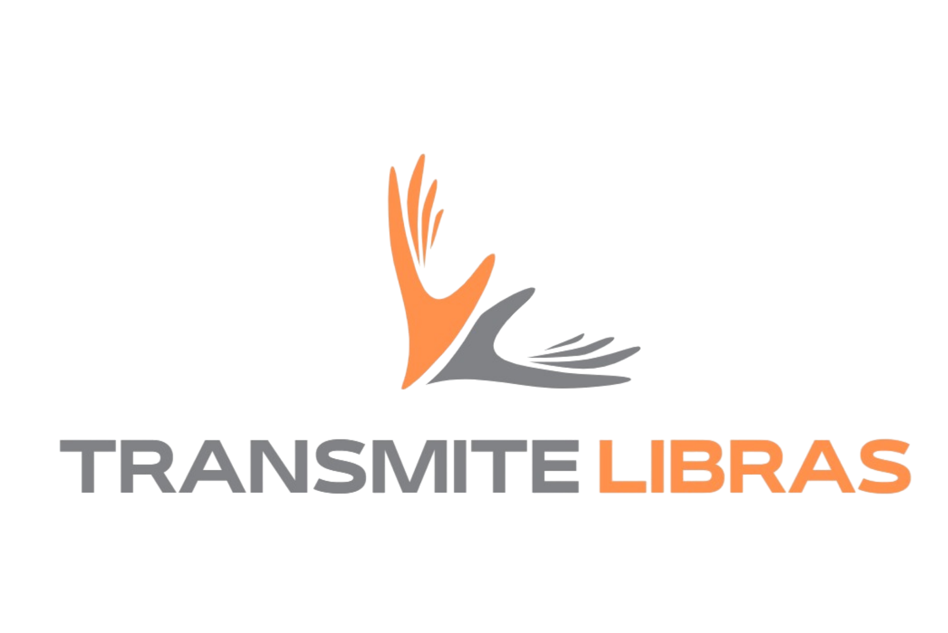 Transmite Libras Comunicacao Inclusiva Ltda