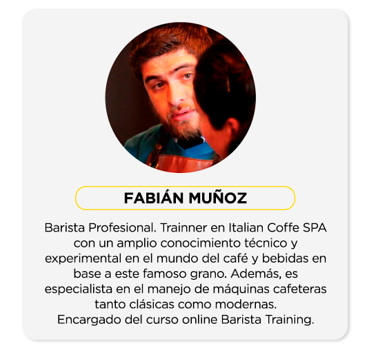 Profesor 6