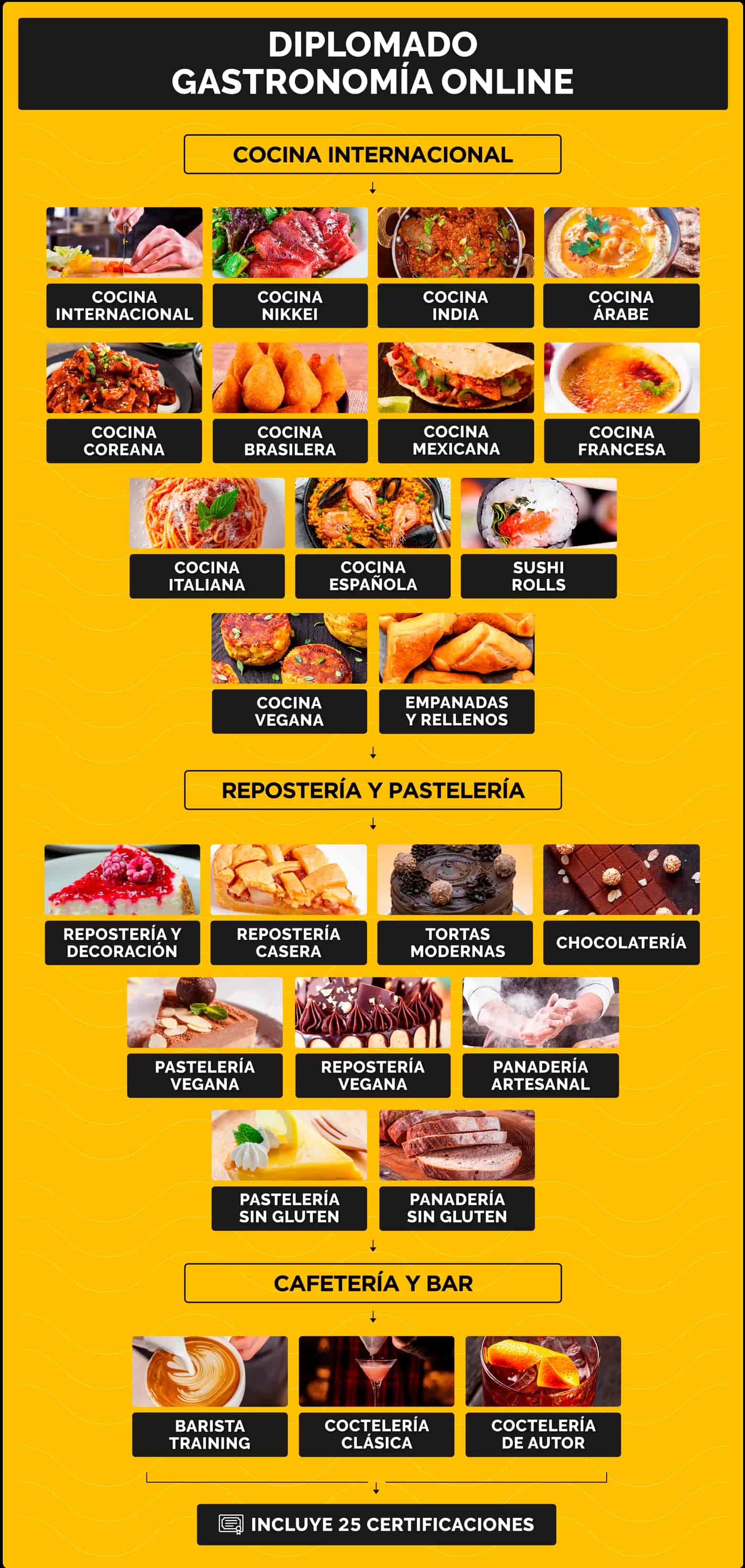 Temario del curso
